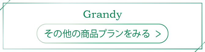 Grandyプラン一覧